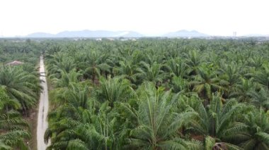 Eski ve yeni binalar filizlenen kırsal patika yolunun çevresel manzarası..