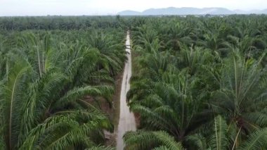 Eski ve yeni binalar filizlenen kırsal patika yolunun çevresel manzarası..