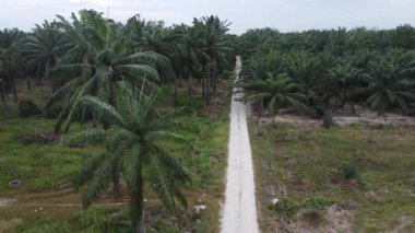 Eski ve yeni binalar filizlenen kırsal patika yolunun çevresel manzarası..