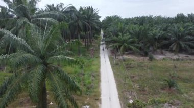 Eski ve yeni binalar filizlenen kırsal patika yolunun çevresel manzarası..