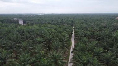 Eski ve yeni binalar filizlenen kırsal patika yolunun çevresel manzarası..