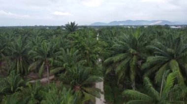 Eski ve yeni binalar filizlenen kırsal patika yolunun çevresel manzarası..