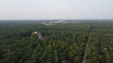 Eski ve yeni binalar filizlenen kırsal patika yolunun çevresel manzarası..