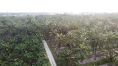 Eski ve yeni binalar filizlenen kırsal patika yolunun çevresel manzarası..