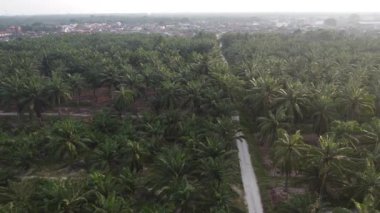 Eski ve yeni binalar filizlenen kırsal patika yolunun çevresel manzarası..