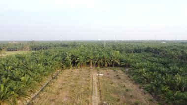 Eski ve yeni binalar filizlenen kırsal patika yolunun çevresel manzarası..