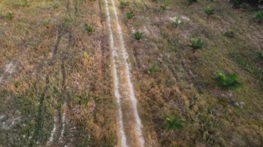 Eski ve yeni binalar filizlenen kırsal patika yolunun çevresel manzarası..