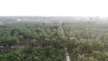 Eski ve yeni binalar filizlenen kırsal patika yolunun çevresel manzarası..