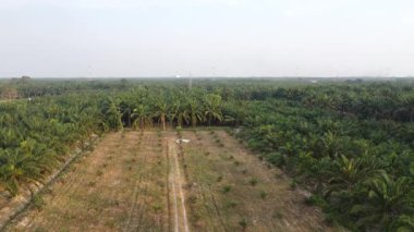 Eski ve yeni binalar filizlenen kırsal patika yolunun çevresel manzarası..