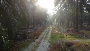 Eski ve yeni binalar filizlenen kırsal patika yolunun çevresel manzarası..
