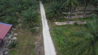 Terk edilmiş ahşap arazinin etrafındaki terk edilmiş ahşap arazide insansız hava aracı uçuran bir adamın hava görüntüsü..  