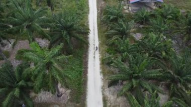 Terk edilmiş ahşap arazinin etrafındaki terk edilmiş ahşap arazide insansız hava aracı uçuran bir adamın hava görüntüsü..  