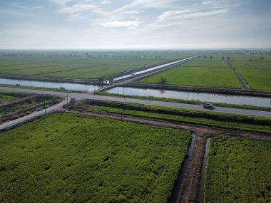 Yarı su tarlası çeltik tarlası çiftliğinin yemyeşil hava manzarası.