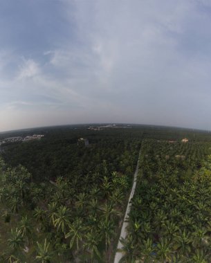 Kırsal patika çevresindeki gökyüzü manzarası filizlenen çıkış ve inşaat binaları altında.  