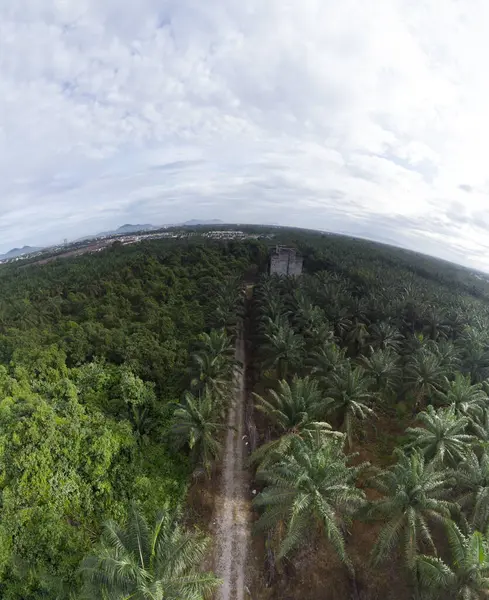Kırsal patika çevresindeki gökyüzü manzarası filizlenen çıkış ve inşaat binaları altında.  