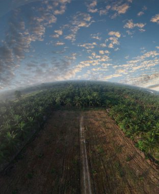 Boş bir tarım arazisinin hava panoramik görüntüsü sabahın erken saatlerinde.