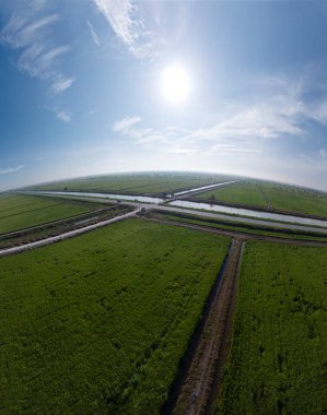 Yarı su tarlası çeltik tarlası çiftliğinin panoramik yemyeşil manzarası.