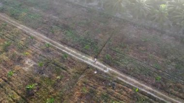Terk edilmiş ahşap arazinin etrafındaki terk edilmiş ahşap arazide insansız hava aracı uçuran bir adamın hava görüntüsü..  
