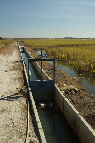 инфракрасное изображение ландшафтного пейзажа полуводной фермы.