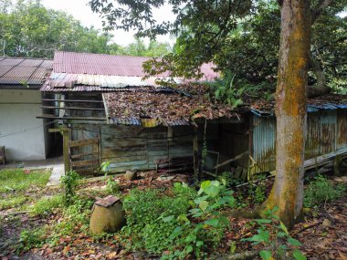 Çiftlikteki ağaç dallarının altında terk edilmiş ve harap olmuş eski bir ahşabın hava manzarası.. 