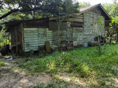 Çiftlikteki ağaç dallarının altında terk edilmiş ve harap olmuş eski bir ahşabın hava manzarası.. 