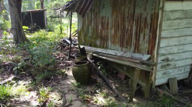 Çiftlikteki ağaç dallarının altında terk edilmiş ve harap olmuş eski bir ahşabın hava manzarası..