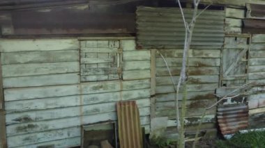 Çiftlikteki ağaç dallarının altında terk edilmiş ve harap olmuş eski bir ahşabın hava manzarası..