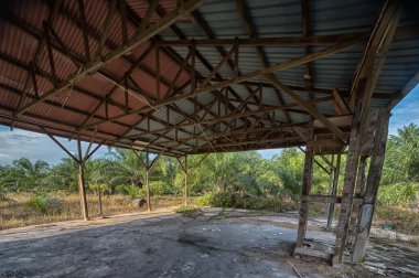 Issız, terk edilmiş, terk edilmiş ahşap bir duvar ve çimenli topraklarda asbest bir çatı..