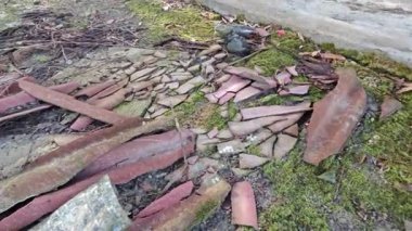 Parçalanmış asbest çatı çarşaflarıyla ıssız ve bakımsız bir ahşap kulübe..