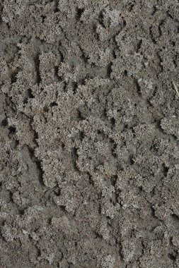 Ateş karıncaları labirenti kara toprak desenli yuvaya yakın çekim. 