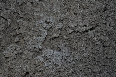 Ateş karıncaları labirenti kara toprak desenli yuvaya yakın çekim. 