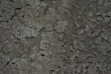 Ateş karıncaları labirenti kara toprak desenli yuvaya yakın çekim. 