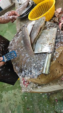 Balıkçı tüm Dover balığını yontup temizliyor..