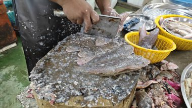 Balıkçı tüm Dover balığını yontup temizliyor..