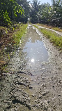 Kırsal toprak yolda sağanak yağış sonrasında durgun su havuzu yansıtıyor. 