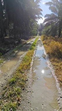 Kırsal toprak yolda sağanak yağış sonrasında durgun su havuzu yansıtıyor. 