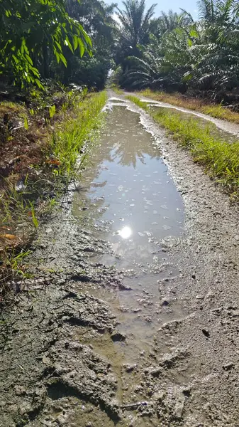 Kırsal toprak yolda sağanak yağış sonrasında durgun su havuzu yansıtıyor. 