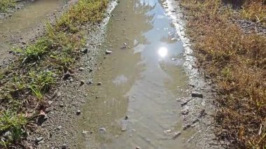 Kırsal toprak yolda sağanak yağış sonrasında durgun su havuzu yansıtıyor.  