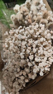 Bebek nefesinin yapraklarını saran çiçeğe bakıyorum.. 