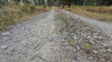 Tarımsal araziye kırsal geçiş perspektifi azalıyor