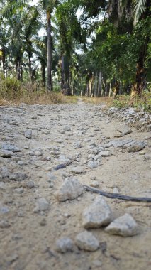 Tarımsal araziye kırsal geçiş perspektifi azalıyor