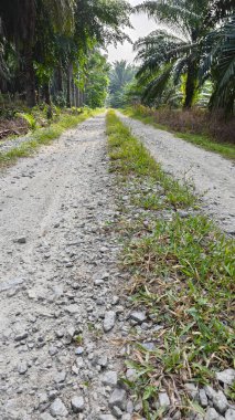 Tarımsal araziye kırsal geçiş perspektifi azalıyor