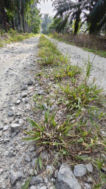 Tarımsal araziye kırsal geçiş perspektifi azalıyor