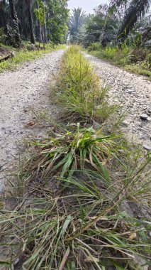 Tarımsal araziye kırsal geçiş perspektifi azalıyor