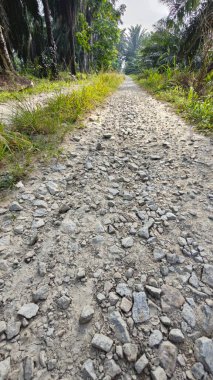 Tarımsal araziye kırsal geçiş perspektifi azalıyor