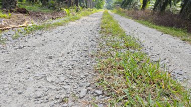 Tarımsal araziye kırsal geçiş perspektifi azalıyor