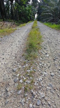 Tarımsal araziye kırsal geçiş perspektifi azalıyor