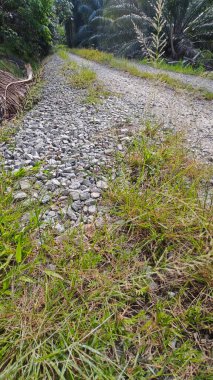 Tarımsal araziye kırsal geçiş perspektifi azalıyor