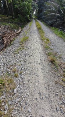 Tarımsal araziye kırsal geçiş perspektifi azalıyor