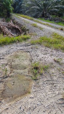 Tarımsal araziye kırsal geçiş perspektifi azalıyor